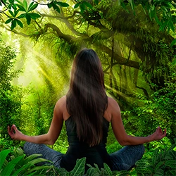 meditacao na natureza